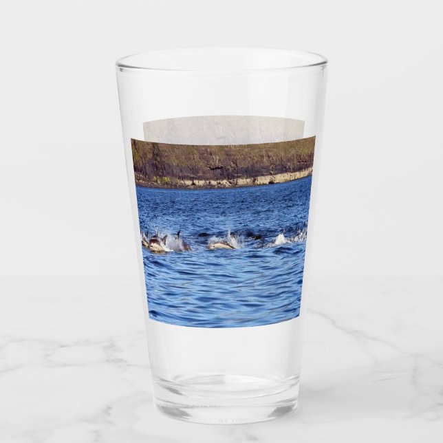 Vanliga delfiner glaskopp (Framsida)