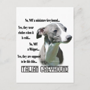 Vanliga frågor och svar på italienska Greyhound Vykort