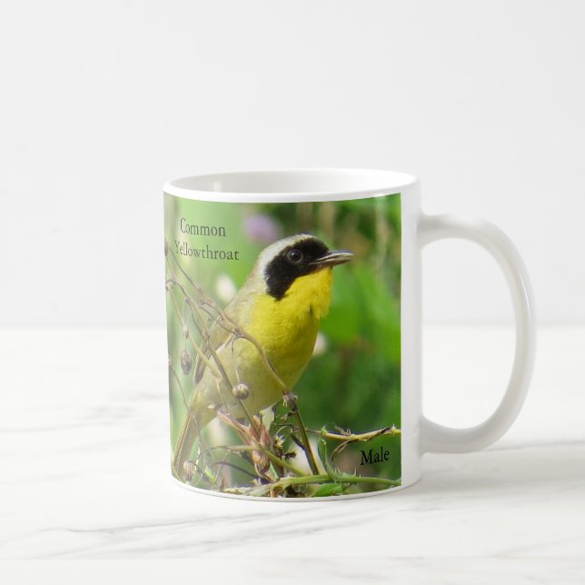 Vanliga gulthroats Mugg efter BirdingCollectibles (Höger)