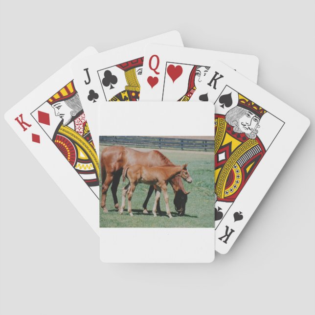 VÄNLIGA HÄSTAR CASINOKORT (Baksidan)