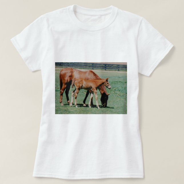 VÄNLIGA HÄSTAR TEE (Design framsida)