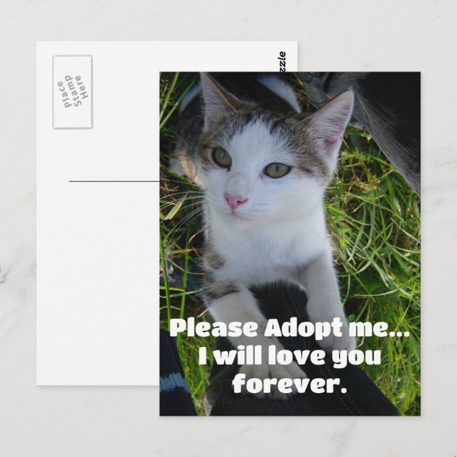 Vänligen adoptera mig.. kommer älska dig för allti vykort (Fram/baksida)