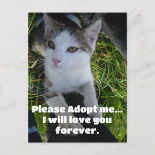 Vänligen adoptera mig.. kommer älska dig för allti vykort
