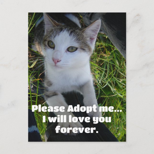 Vänligen adoptera mig.. kommer älska dig för allti vykort (Framsida)