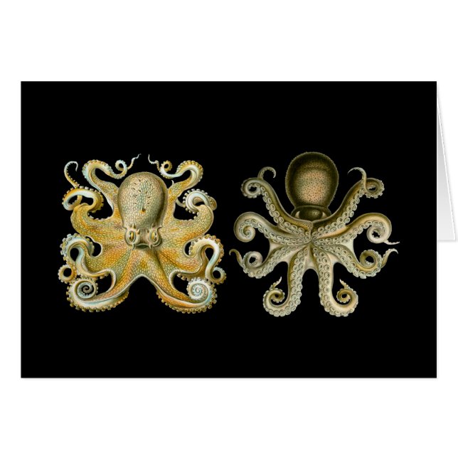 Vanligt bläckfisk hälsningskort (Framsidan Horizontal)