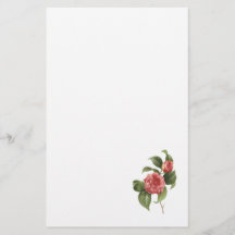 vanligt camellia (Camelliajaponica) vid Redouté