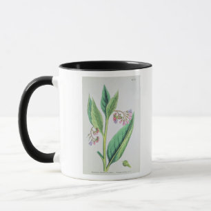 Vanligt Comfrey, pläterar MCXVI, c.1800 Mugg
