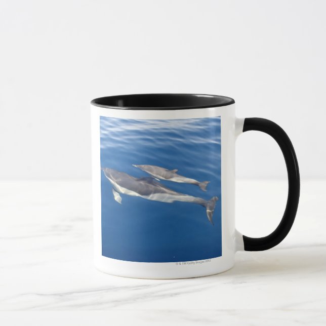 Vanligt delfin i straiten mugg (Höger)