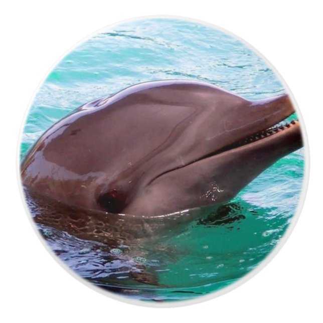 Vanligt delfin knopp (Framsidan)