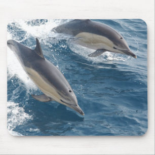 Vanligt delfin musmatta