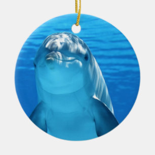 Vänligt delfinfoto julgransprydnad keramik