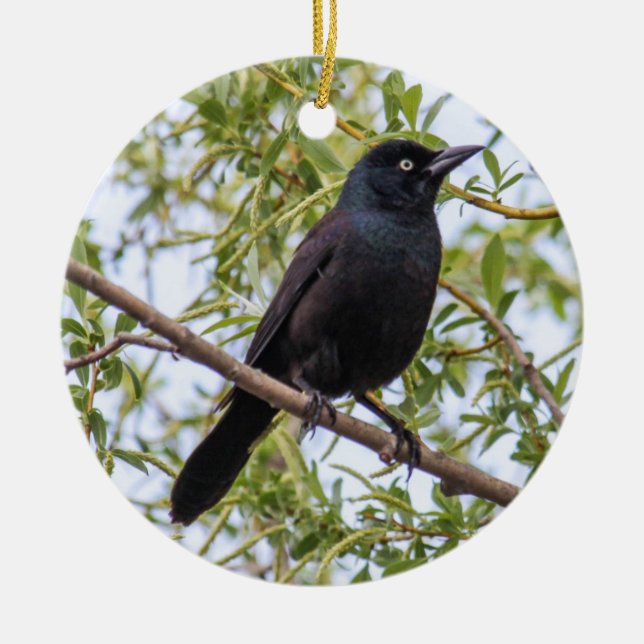 Vanligt Grackle Julgransprydnad Keramik (Framsidan)