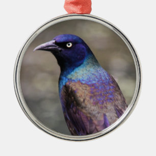 Vanligt Grackle Julgransprydnad Metall