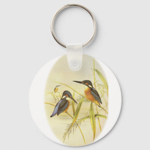 Vanligt Kingfisher Nyckelring