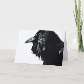 (Vanligt korpsvart) Corvuscorax, Kort
