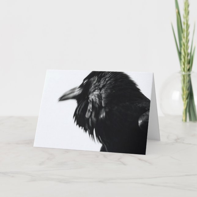 (Vanligt korpsvart) Corvuscorax, Kort (Framsida)