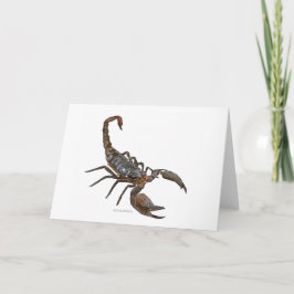Vänligt kort för Scorpionvattenfärghälsning