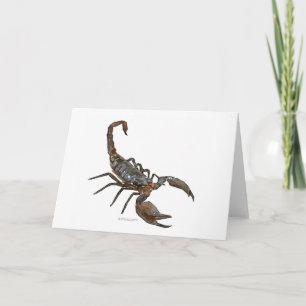Vänligt kort för Scorpionvattenfärghälsning