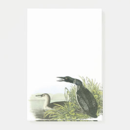 Vanligt Loon vid Audubon Post-it Block
