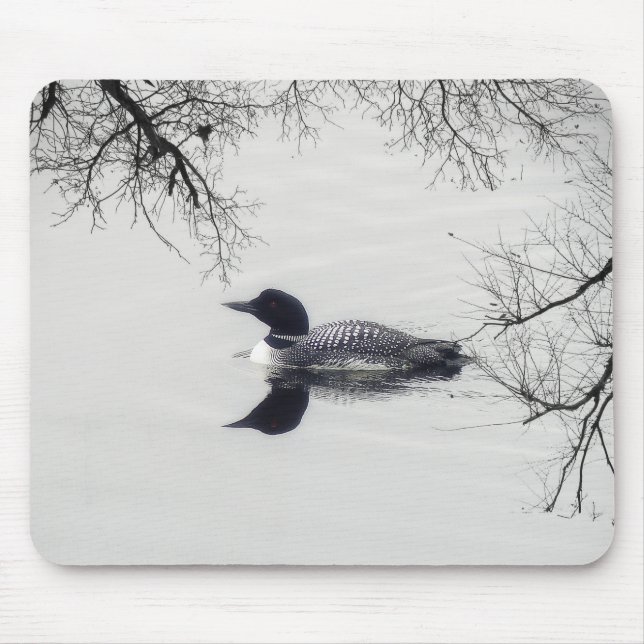 Vanligt Loonsimmor i en nordlig sjö i vinter Musmatta (Framsidan)