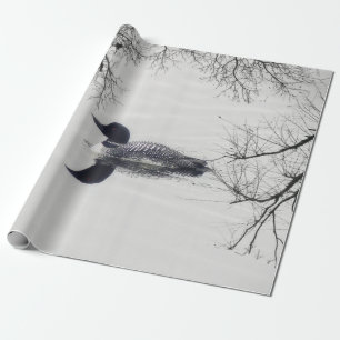 Vanligt Loonsimmor i en nordlig sjö i vinter Presentpapper