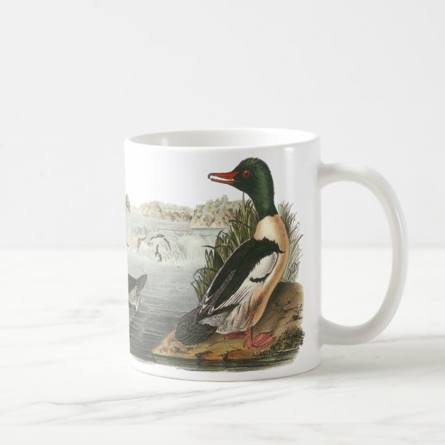 Vanligt Merganser, John Audubon Kaffemugg (Höger)