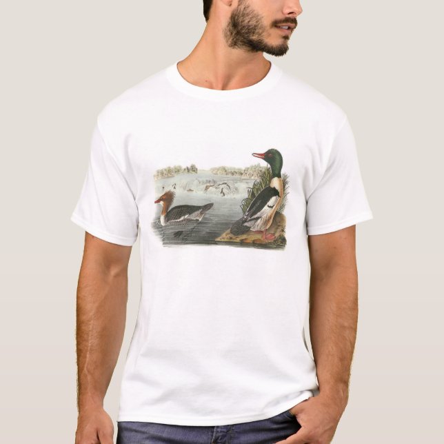 Vanligt Merganser vid Audubon Tee Shirt (Framsida)