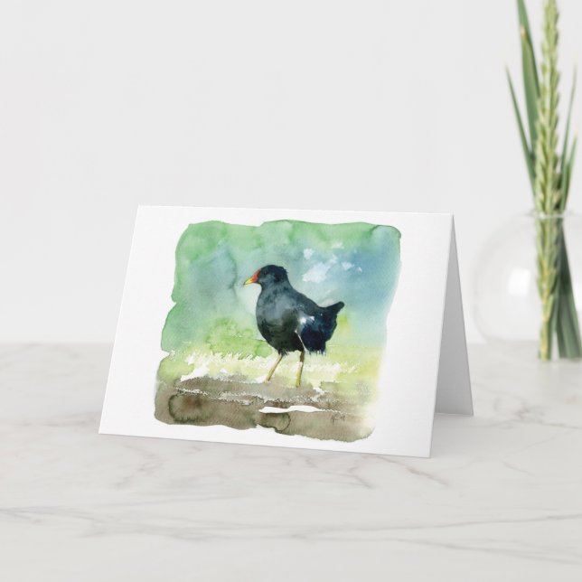 vanligt moorhen kort (Framsida)