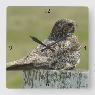 Vanligt Nighthawk B2 Fyrkantig Klocka