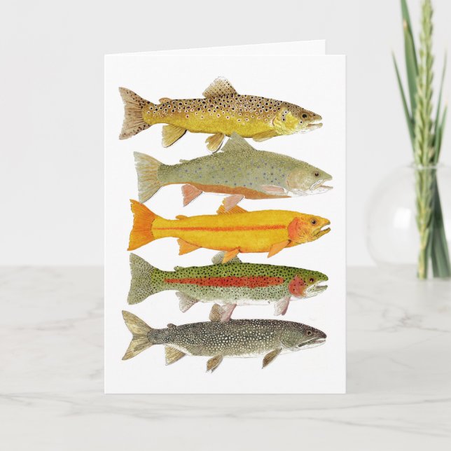 Vanligt Pennsylvania forell Kort (Framsida)