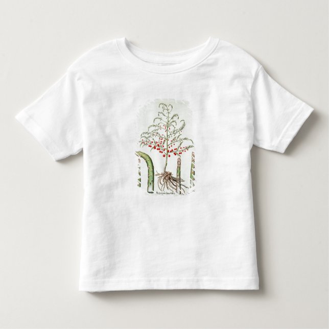 Vanligt sparris i blomma och frukt, från 'Ho T Shirt (Framsida)