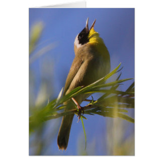 Vanligt Yellowthroat Hälsningskort