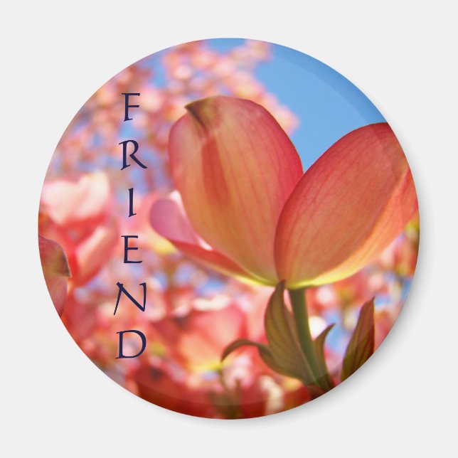 Vänmagnet Natur Rosa Cornelblommor Träd Magnet (Framsidan)