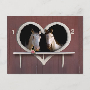 Vanna Horse Around? Vykort