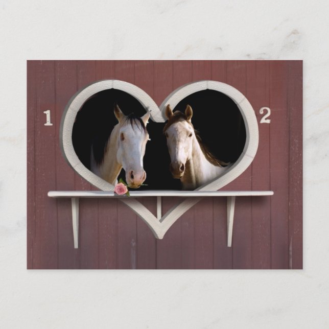 Vanna Horse Around? Vykort (Framsida)