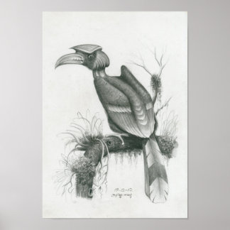 Vannak Prum poster Kambodjanska hornbill Bird