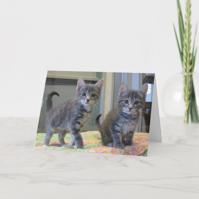 Vänner 099 kort (Framsida)