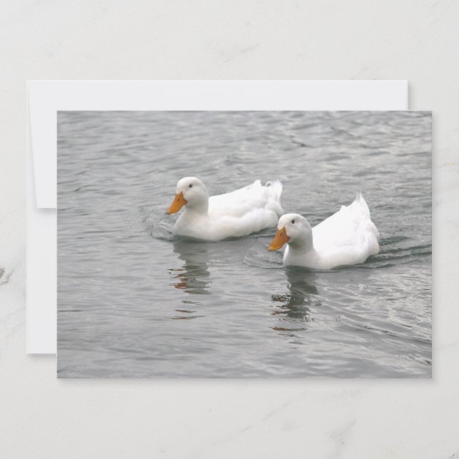 Vänner Anteckningskort (Framsida)