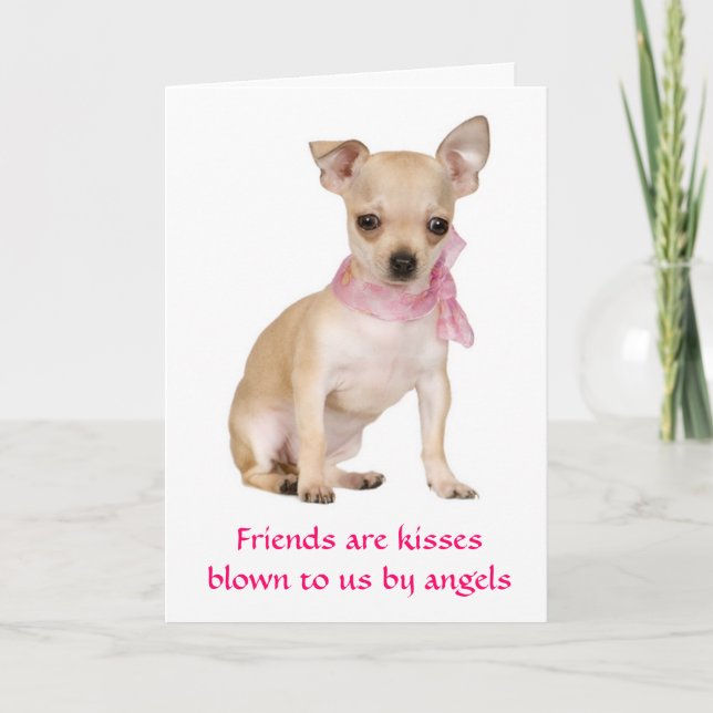Vänner är Änglar Chihuahua Puppy Hund Card Kort (Framsida)