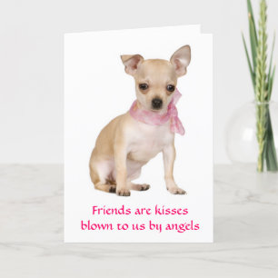 Vänner är Änglar Chihuahua Puppy Hund Card Kort