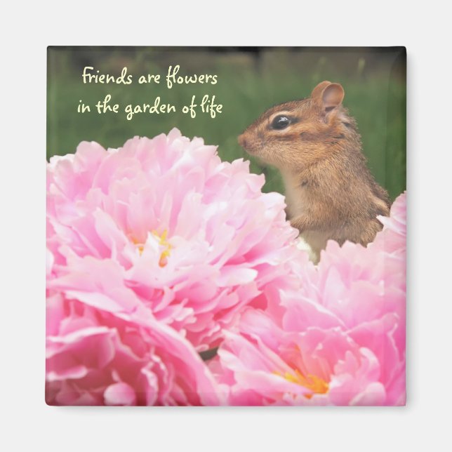 Vänner är Flowers Quote Chipmunk Magnet (Framsidan)
