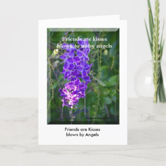 Vänner är kyssar som änglar, Frien... Kort