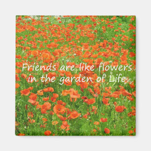 Vänner är lika blommor magnet