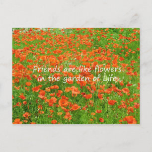 Vänner är som blommor vykort