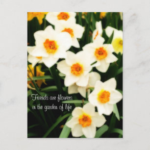 Vänner är vykort för blommor