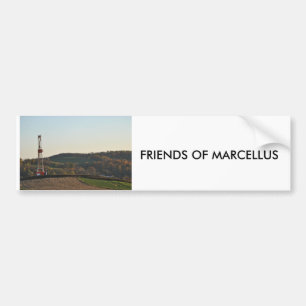 VÄNNER AV MARCELLUS BILDEKAL