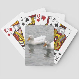 Vänner Casinokort