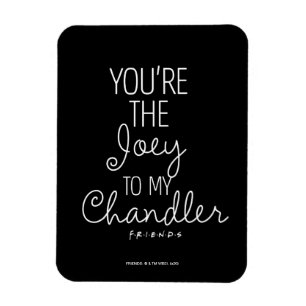 VÄNNER™ Du är Joey till min Chandler Magnet