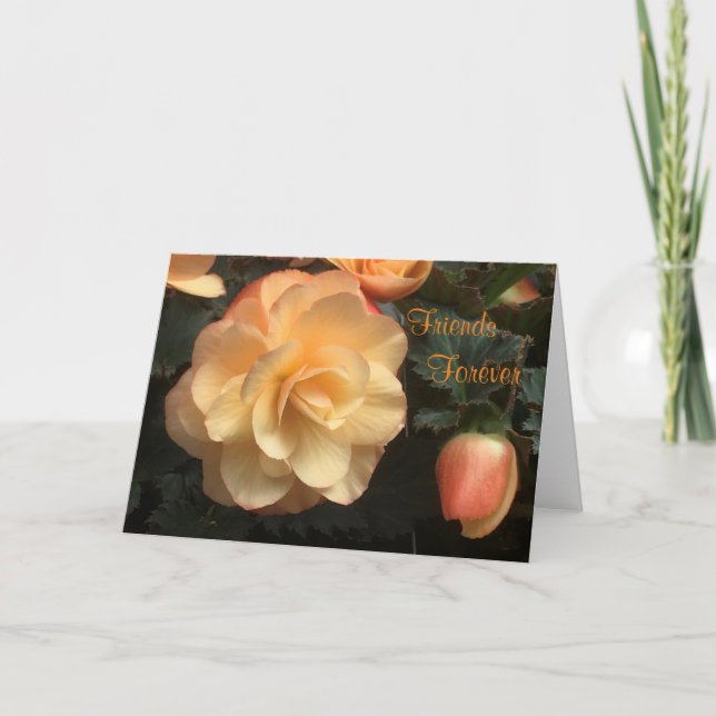 Vänner för alltid helgkort (Framsida)