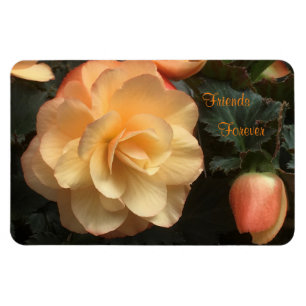 Vänner för alltid magnet